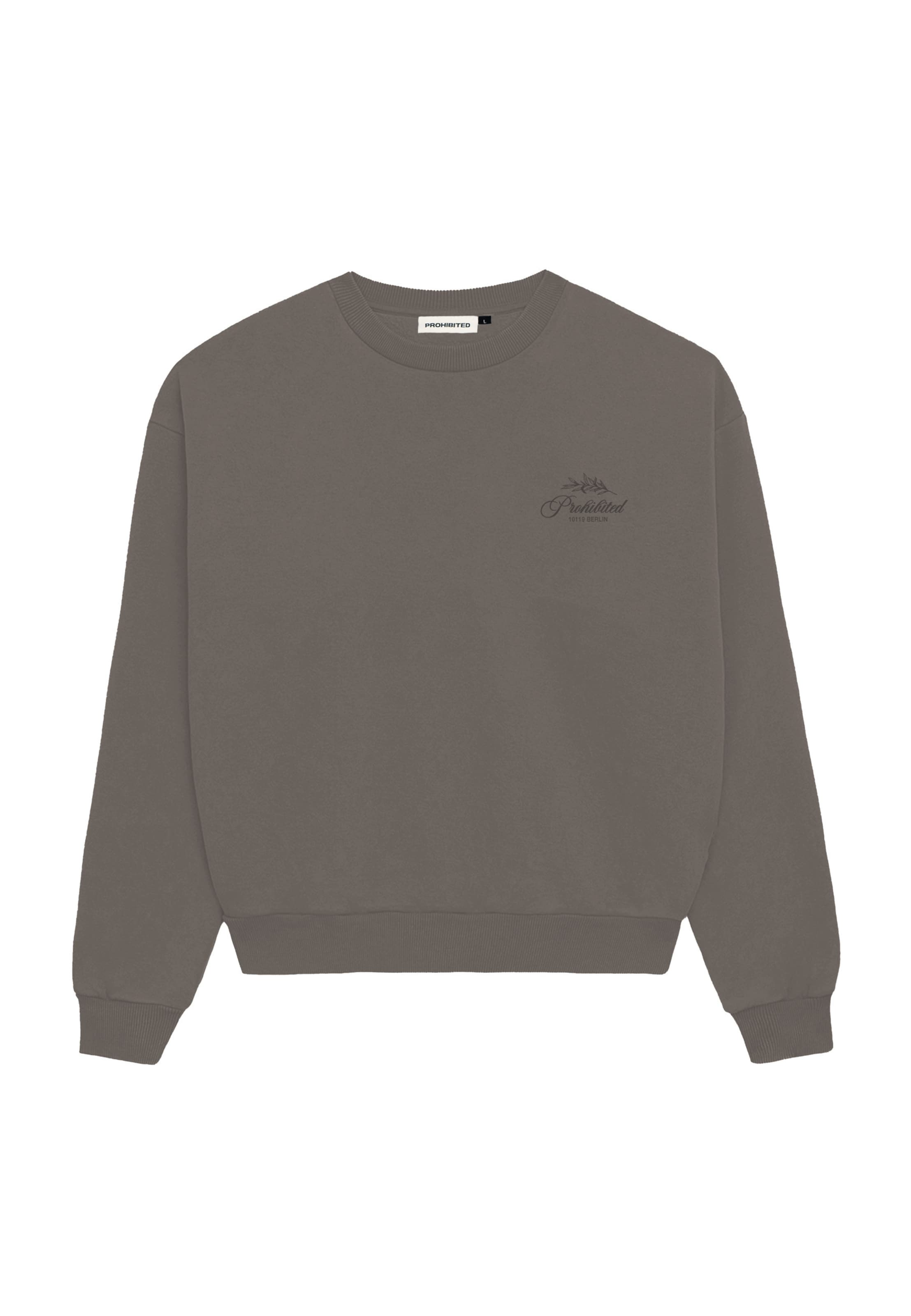 Felpa di Prohibited in beige: frontale