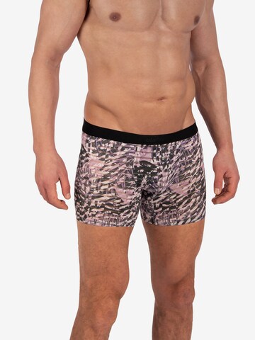 Olaf Benz Boxershorts in Lila: voorkant