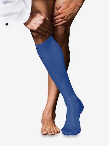 FALKE Kniestrümpfe 'No. 9 Pure Fil d´Écosse' in Blau: Vorderseite
