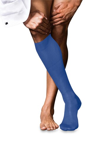 FALKE Knee High Socks 'No. 9 Pure Fil d´Écosse' in Blue: front
