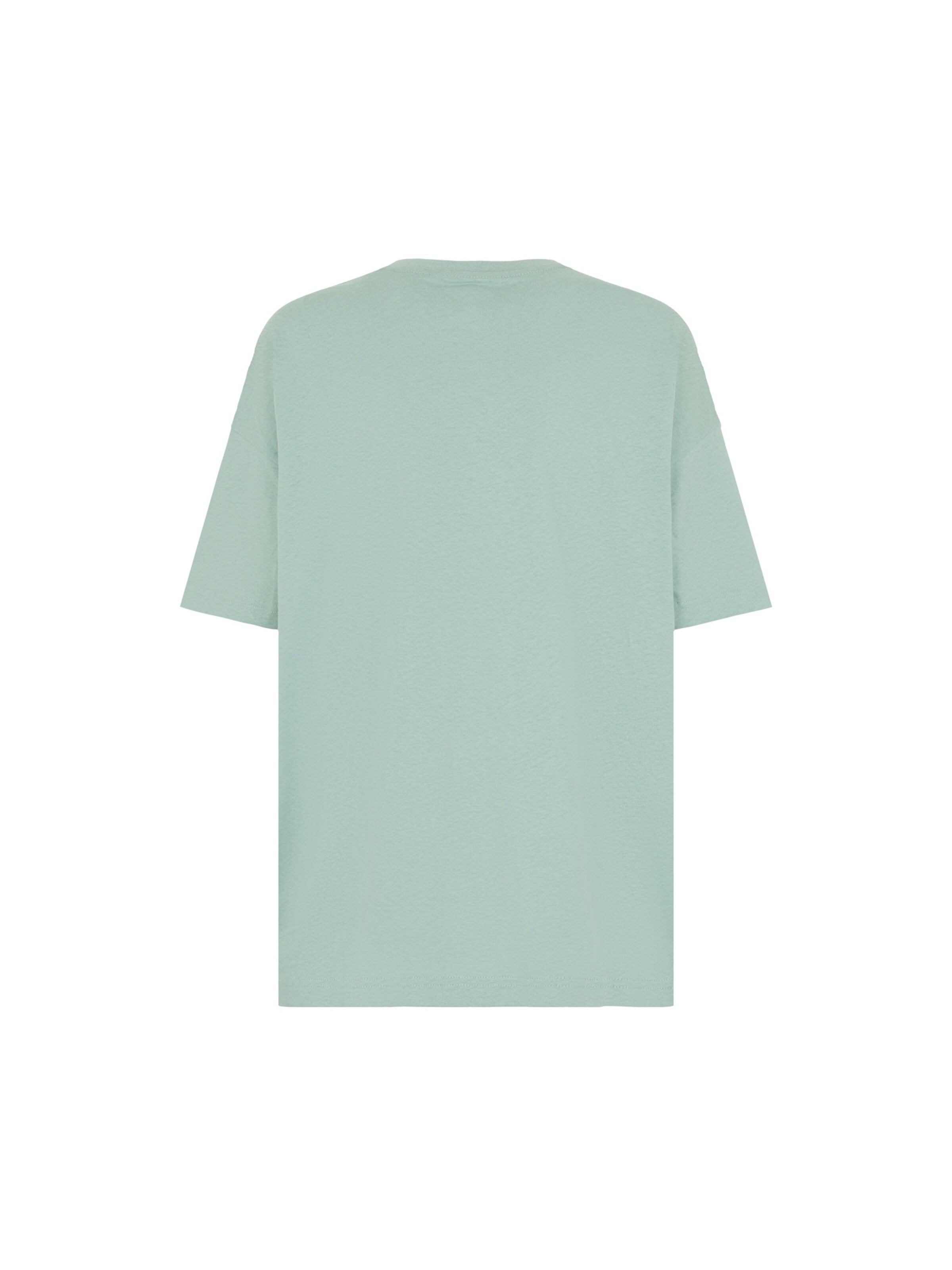 DICKIES Μπλουζάκι 'Summerdale' σε πράσινο