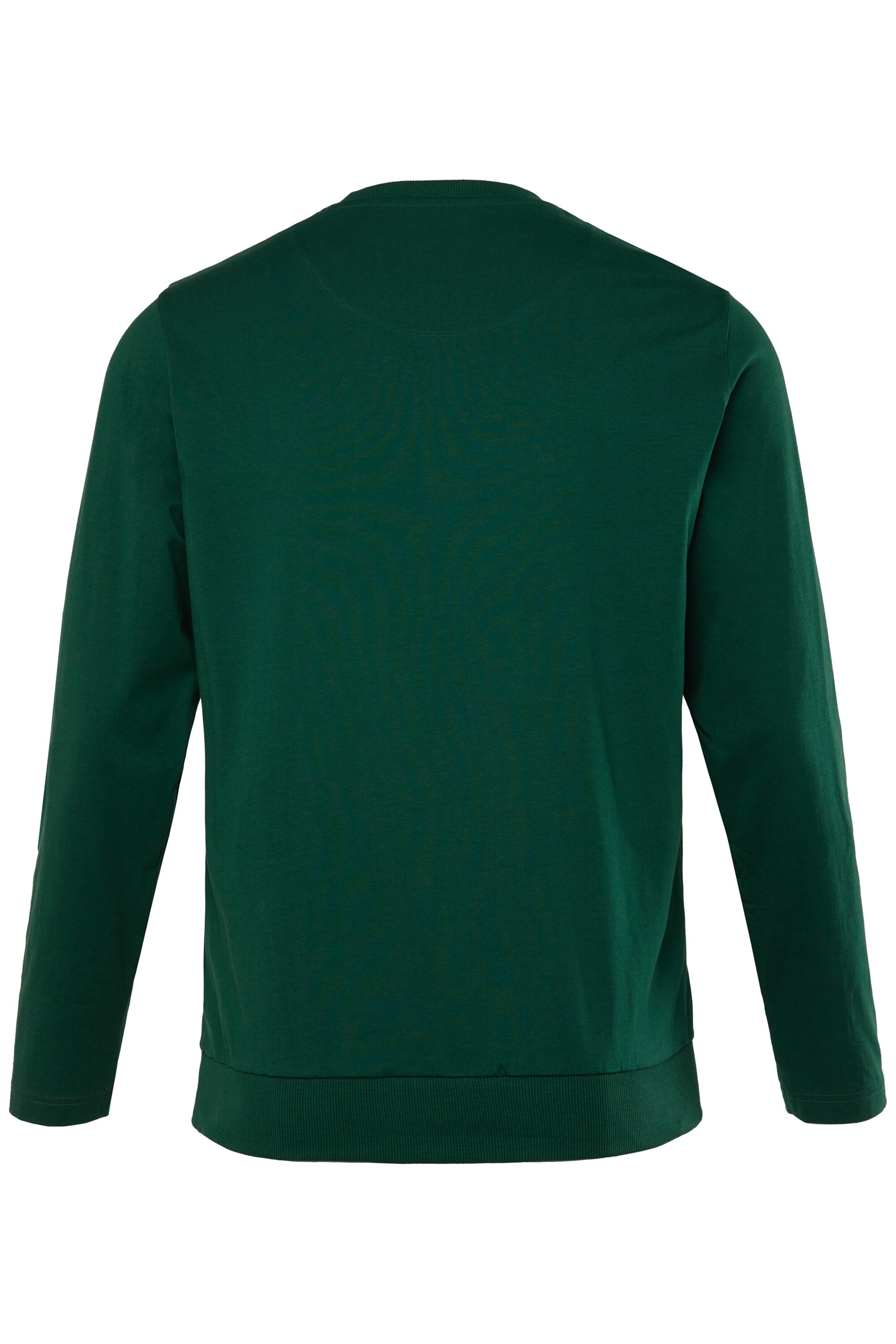 Men Plus Shirt in Groen