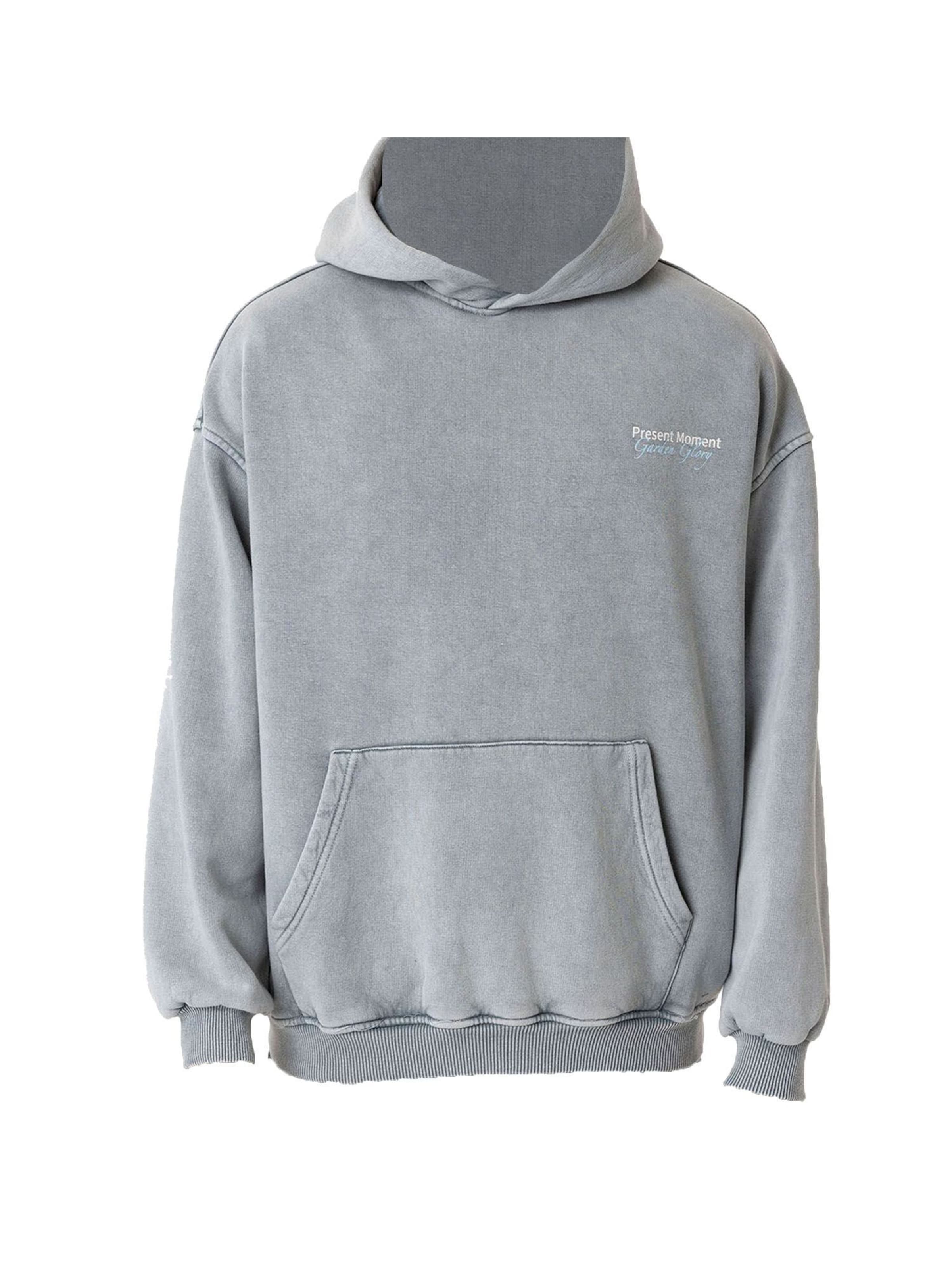 Sweat-shirt Dandalo en gris : devant