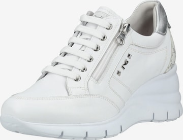 Baskets basses Nero Giardini en blanc : devant