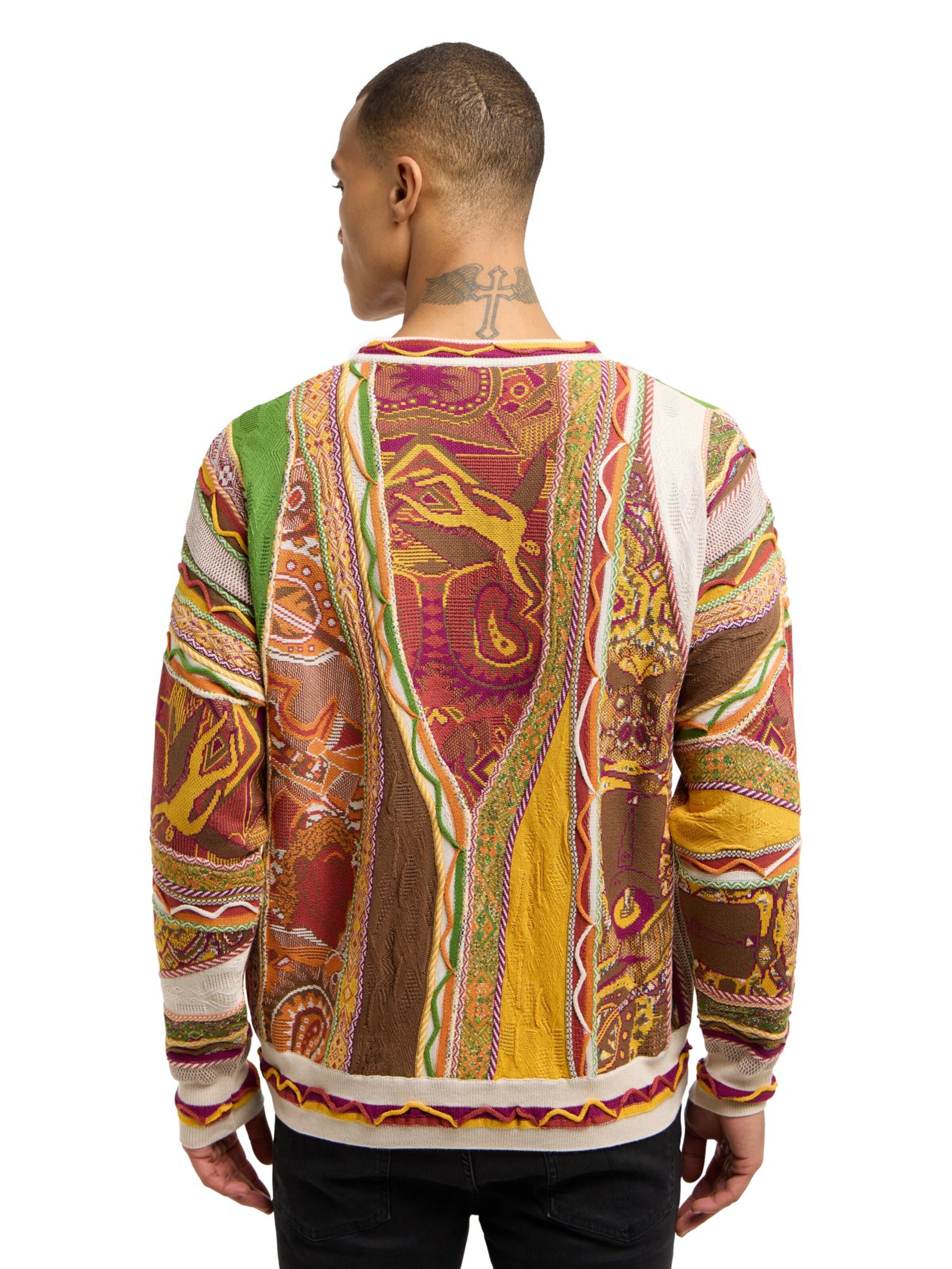 Carlo Colucci Sweater ' Deluggi ' in Mixed colours