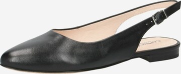 CAPRICE Дамски обувки на ток с отворена пета в черно: отпред