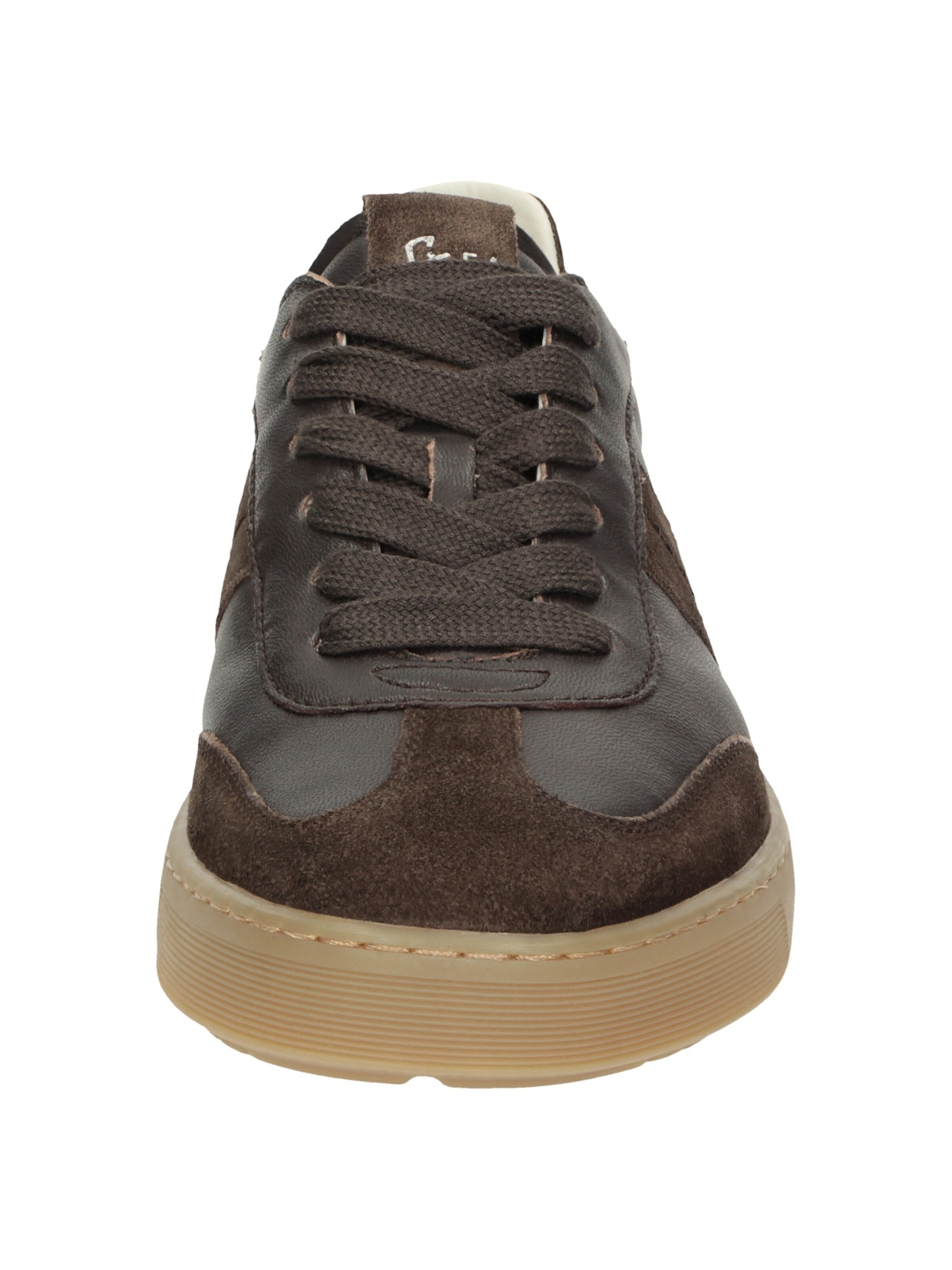 SIOUX Sneakers laag ' Tedroso-DA-717 ' in Bruin