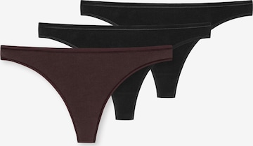 SCHIESSER Thong in Red: front