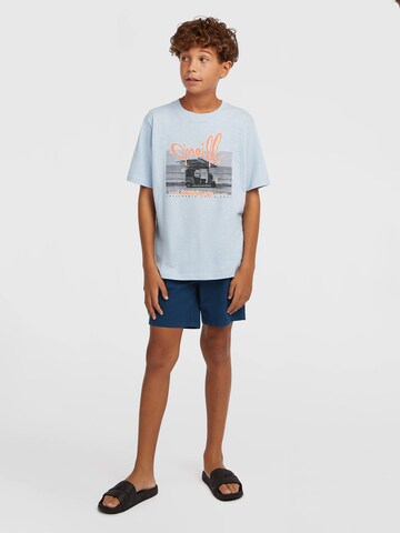O'NEILL Regular Pants in Blue
