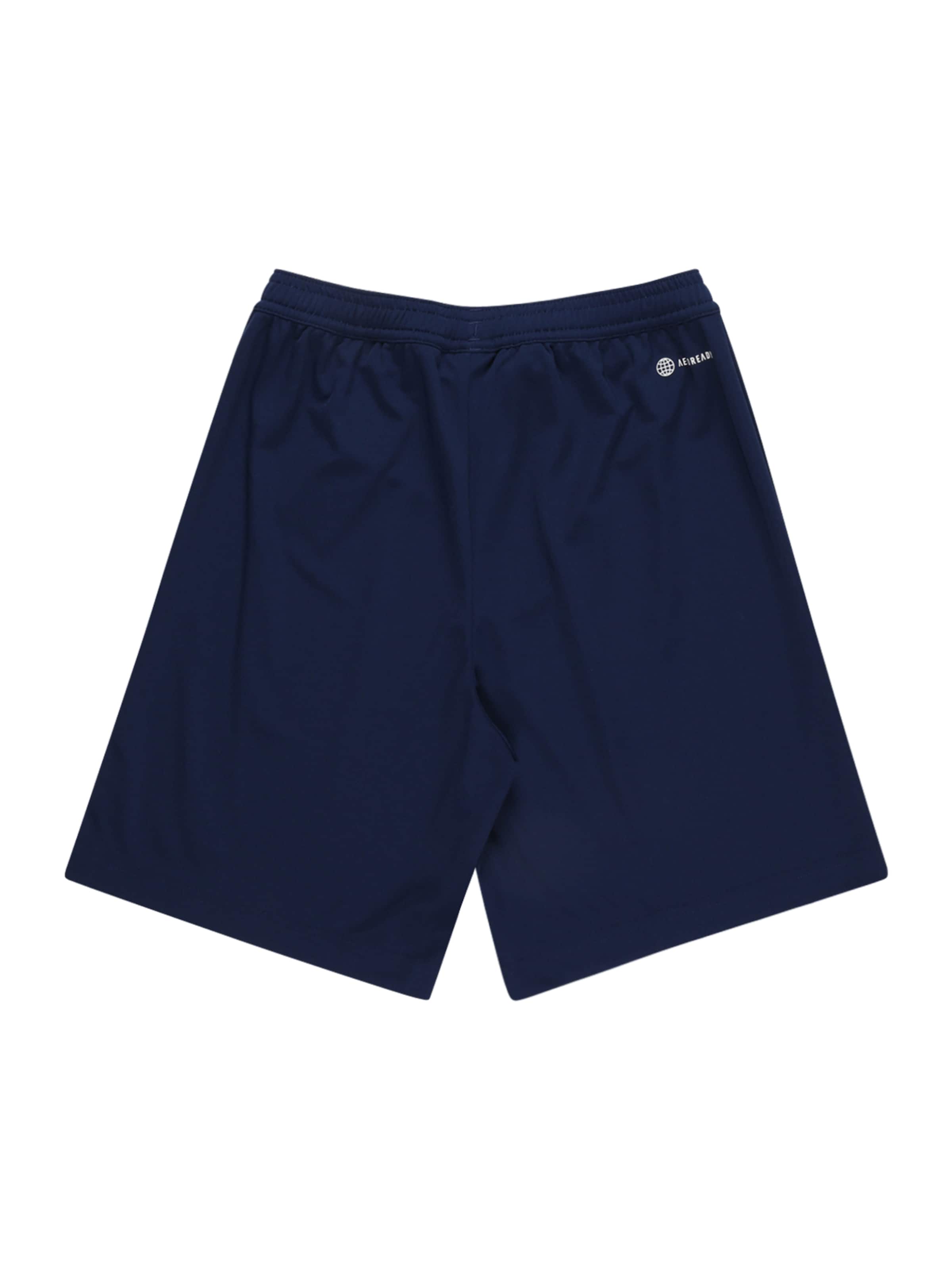 ADIDAS PERFORMANCE - regular Pantalón deportivo 'Entrada 22' en azul