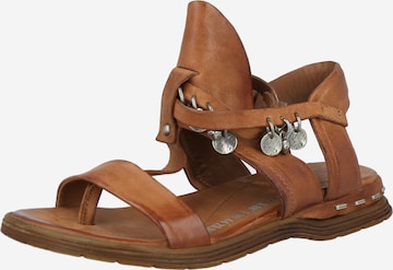 A.S.98 T-Bar Sandals 'MARE' in Brown: front