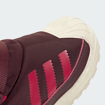 Bocanci de zăpadă 'Superstar 360' de la ADIDAS ORIGINALS pe maro
