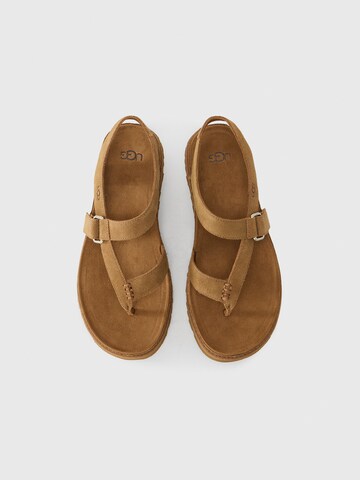 UGG Zehentrenner 'GoldenGaze' in Braun
