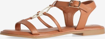 MEXX Strap Sandals 'Jeva' in Brown: front