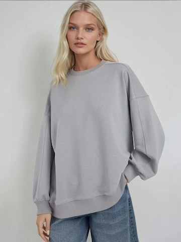 Hiccup Sweatshirt in Grau: Vorderseite