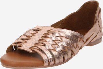 Dorothy Perkins Ballerinasko i guld: forside