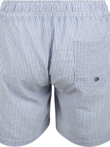 Suitable Swimming shorts in Blue