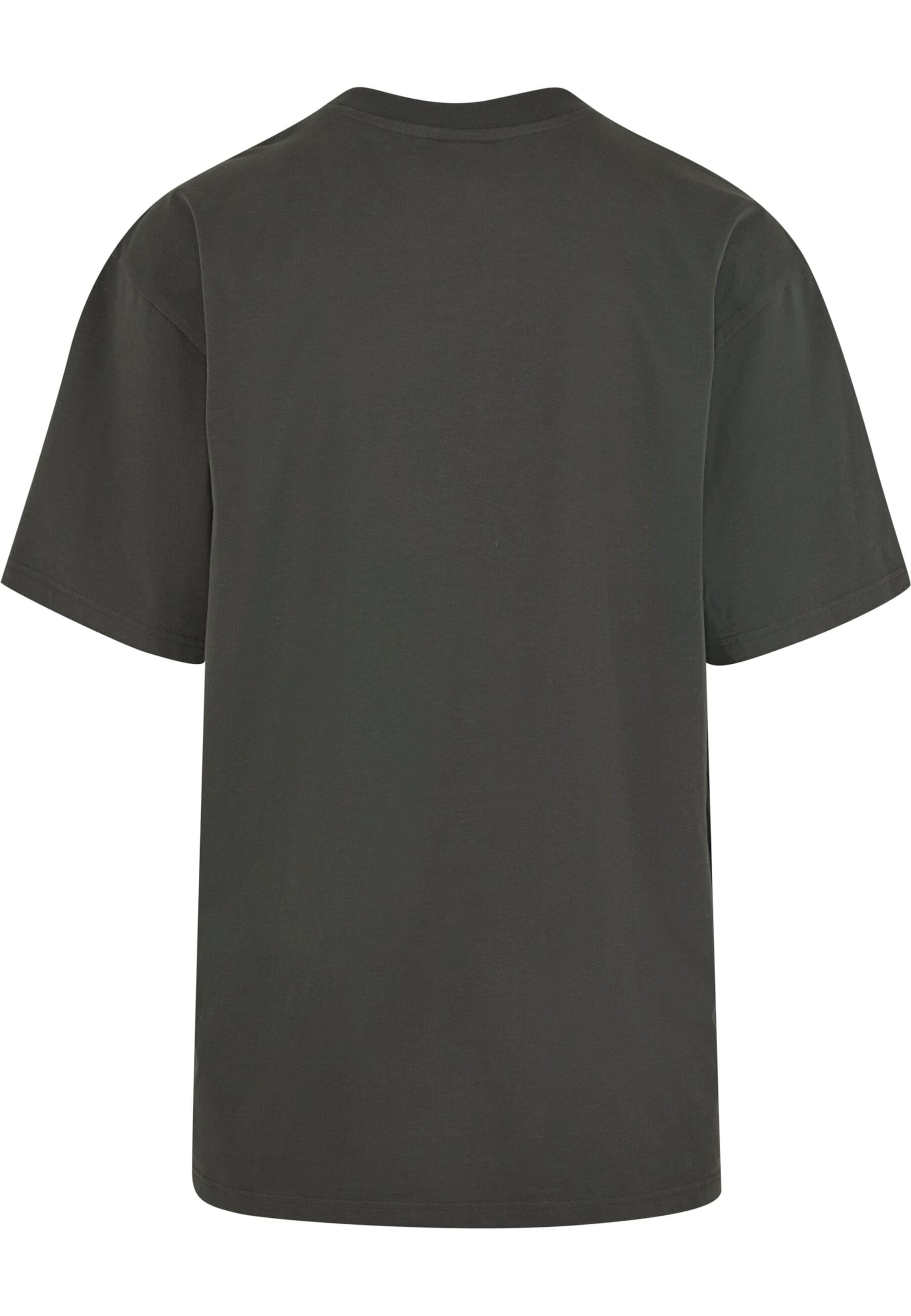 pelēks Karl Kani T-Krekls 'Icy Chrome'