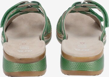 ARA Mules in Green