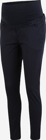 Attesa Chino Pants in Blue: front