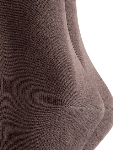 FALKE Socks 'Swing 2-Pack' in Brown