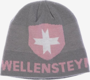 Wellensteyn Hat & Cap in One size in Grey: front