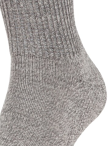 FALKE Socks 'Walkie Ergo' in Grey
