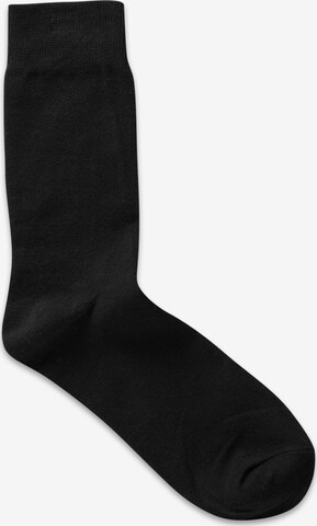 JACK & JONES Socks 'Jens' in Blue