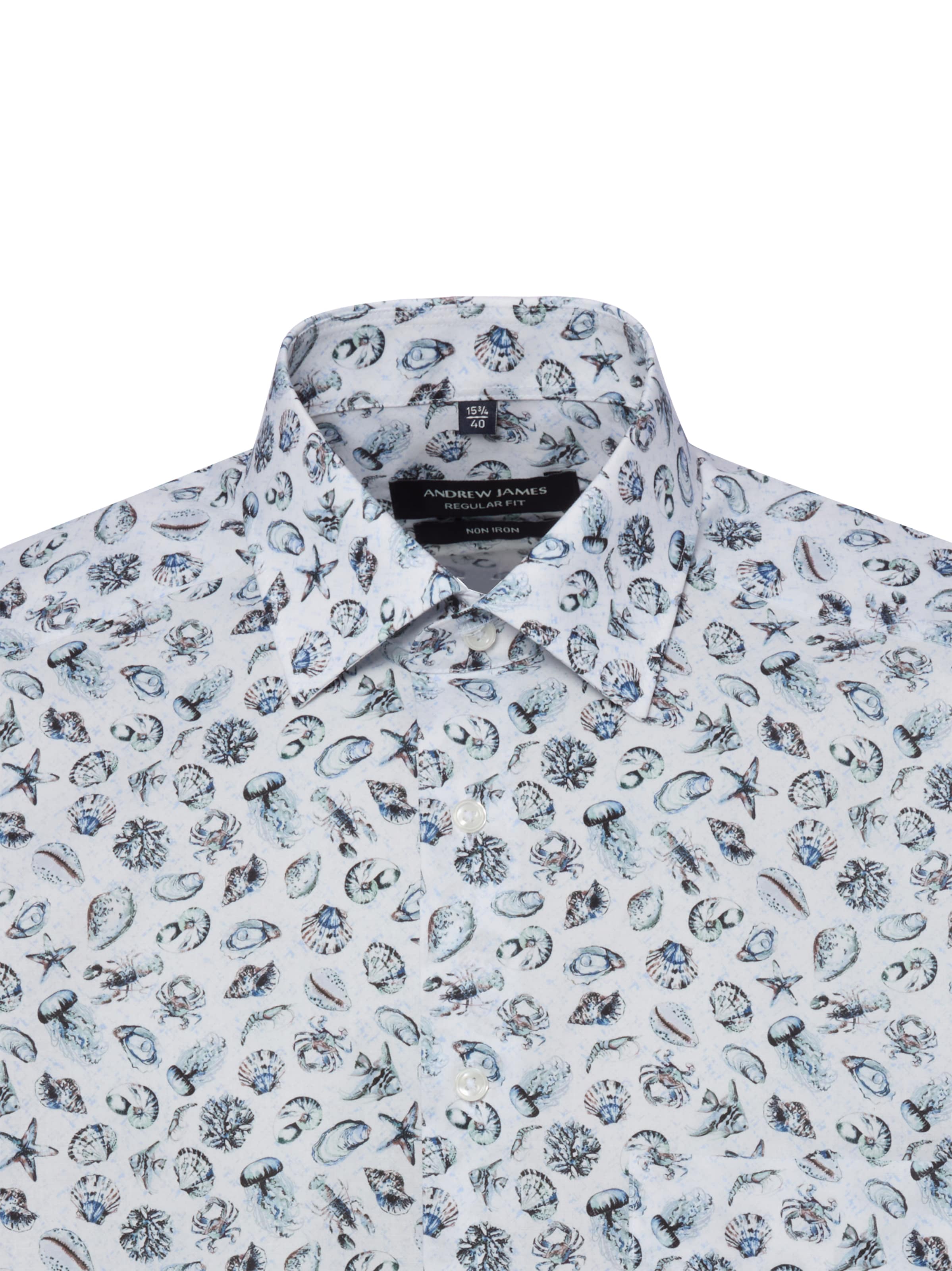 Coupe regular Chemise Andrew James en blanc