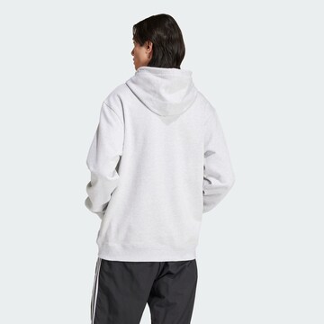 ADIDAS ORIGINALS Sweatshirt ' Flames ' in Grau