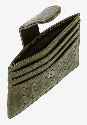 FELIPA Etui in Groen