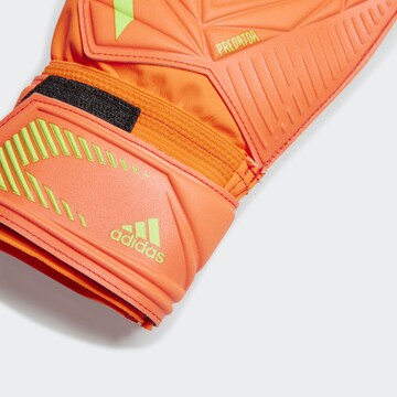 Mănuși sport 'Predator Edge Match Goalkeeper' de la ADIDAS SPORTSWEAR pe portocaliu