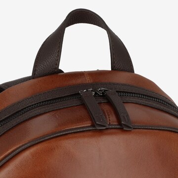 Ted Baker Rucksack 'Rayton' in Braun