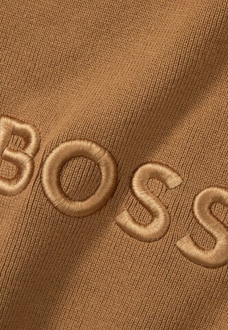 BOSS Blankets in Brown