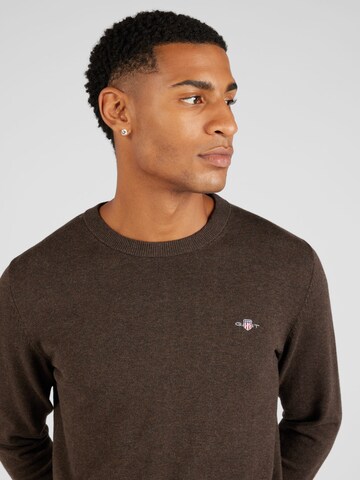 GANT Pullover in Braun