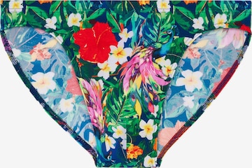 HOM Zwembroek ' Swim Micro Briefs Peacock ' in Groen: voorkant