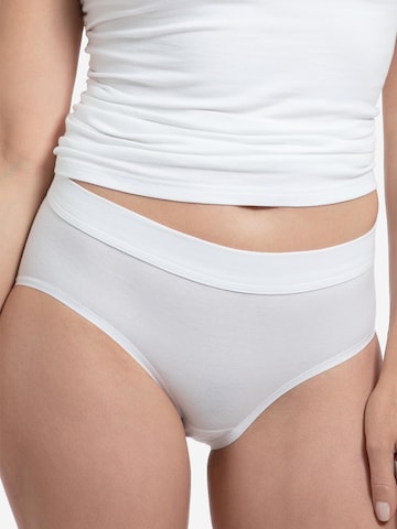 SPEIDEL Slip 'bio.cotton Plus' in Weiß: Vorderseite