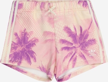 smėlio ADIDAS ORIGINALS Standartinis Kelnės: priekis