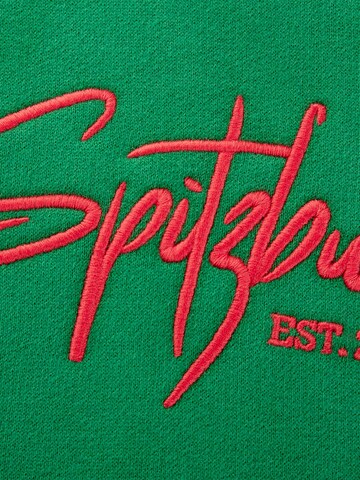 SPITZBUB Sweatshirt ' Unframed Street' in Grijs