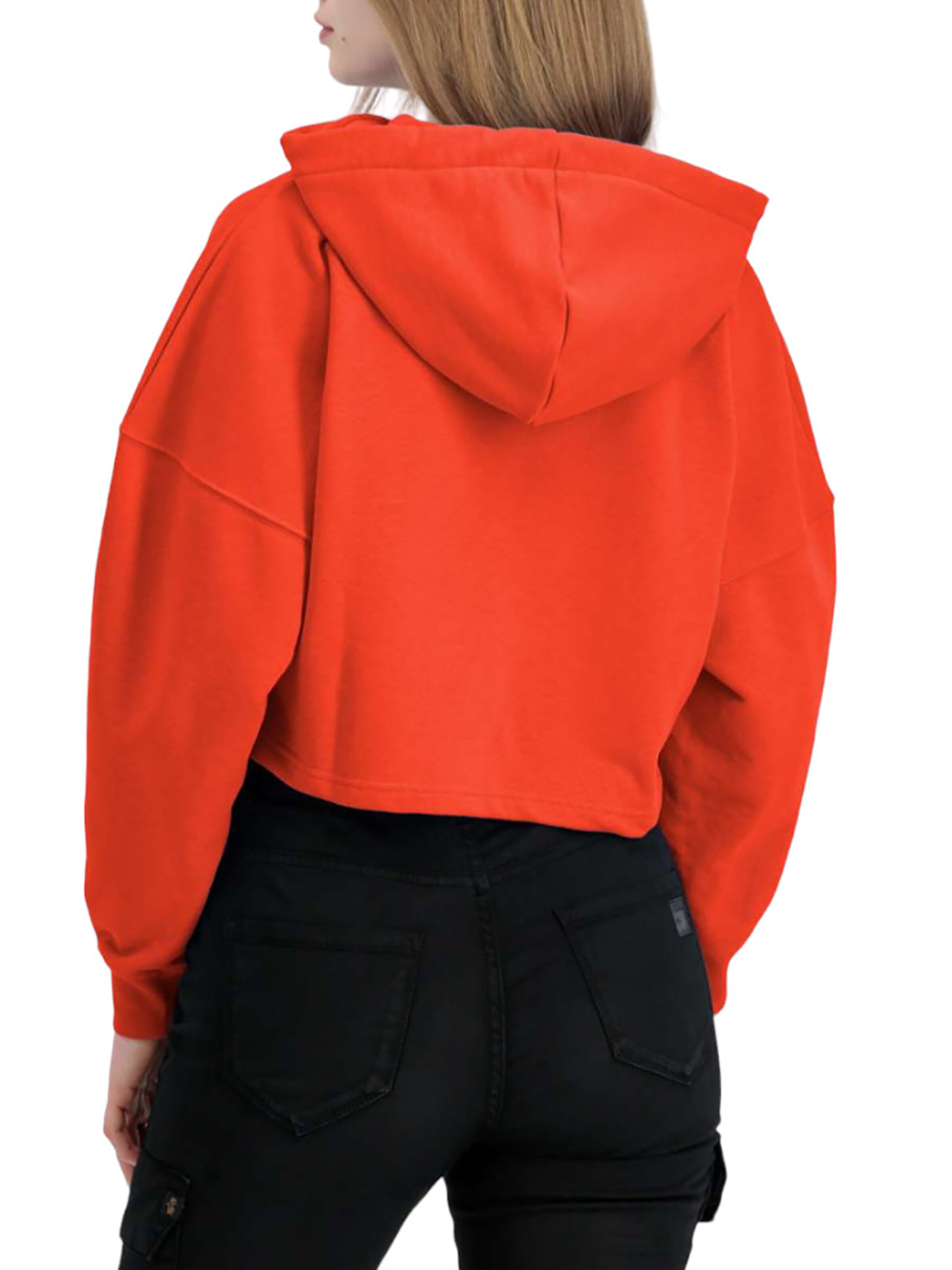 ALPHA INDUSTRIES Sweatshirt 'Basic' in Red