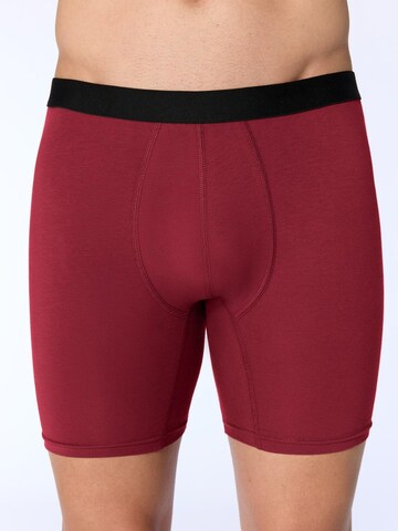 Albero Natur Long Johns 'Bio-Baumwoll-Herren Long Trunks' in Red: front