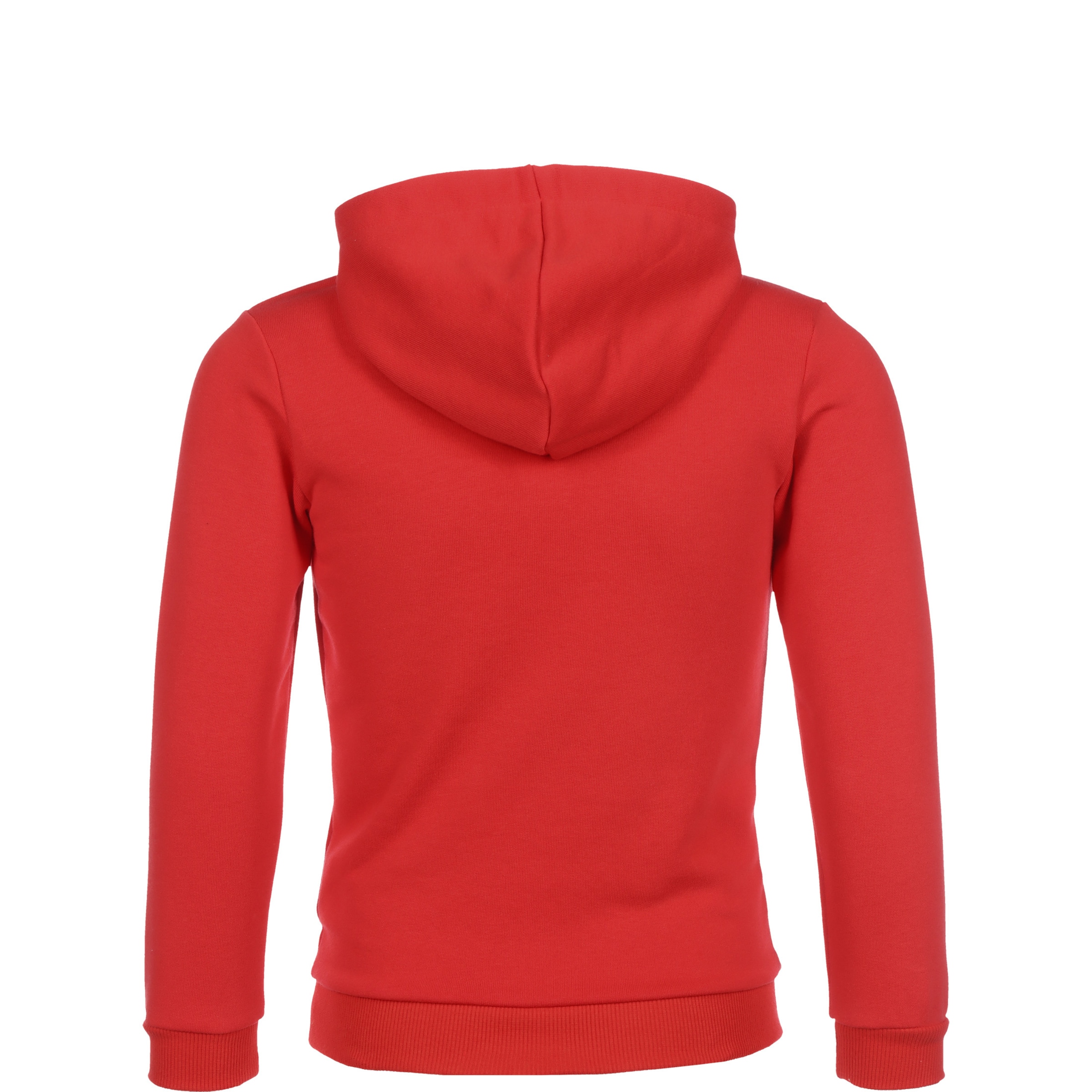 Sweat de sport 'teamGOAL' PUMA en rouge