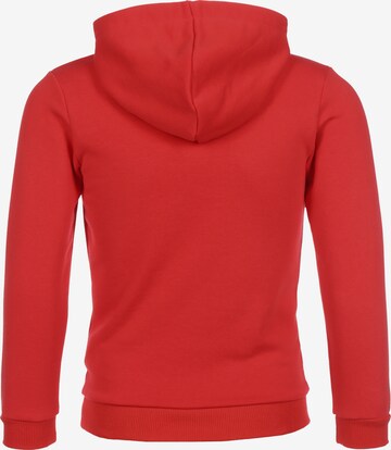 Sweat de sport 'teamGOAL' PUMA en rouge