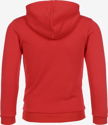 PUMA Sportief sweatshirt 'teamGOAL' in Rood