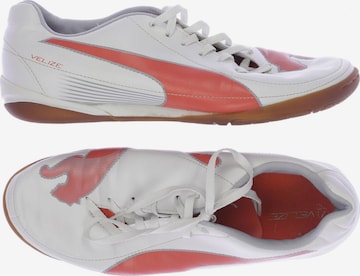 PUMA Sneakers & Trainers in 40,5 in White: front