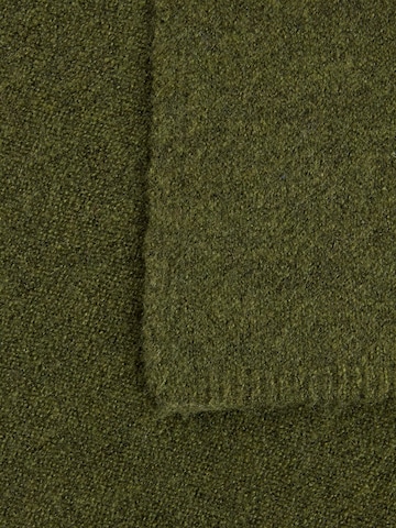 CAMEL ACTIVE Scarf in Green