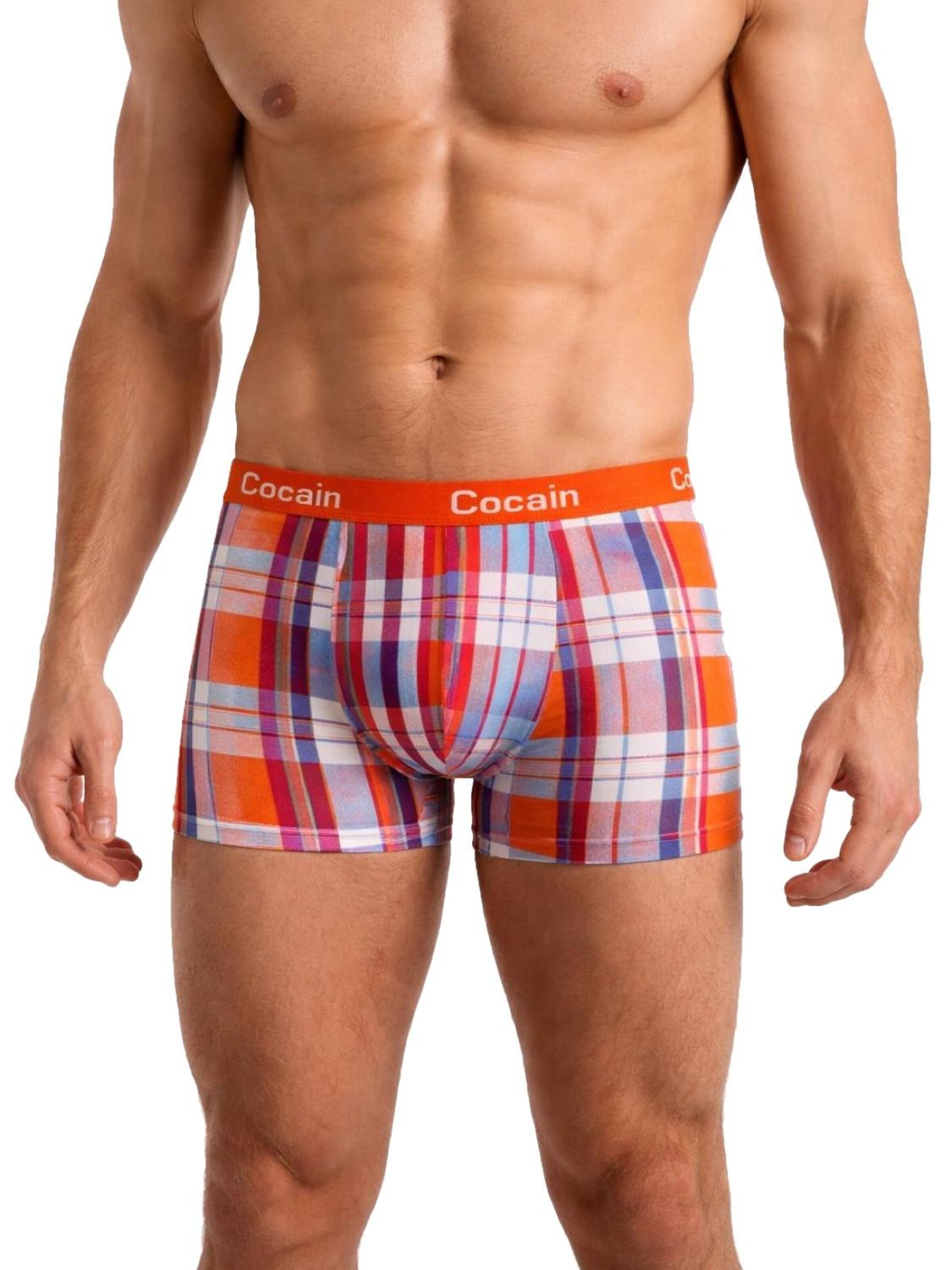 Cocain Underwear Boxer shorts 'kariert' in Mixed colors