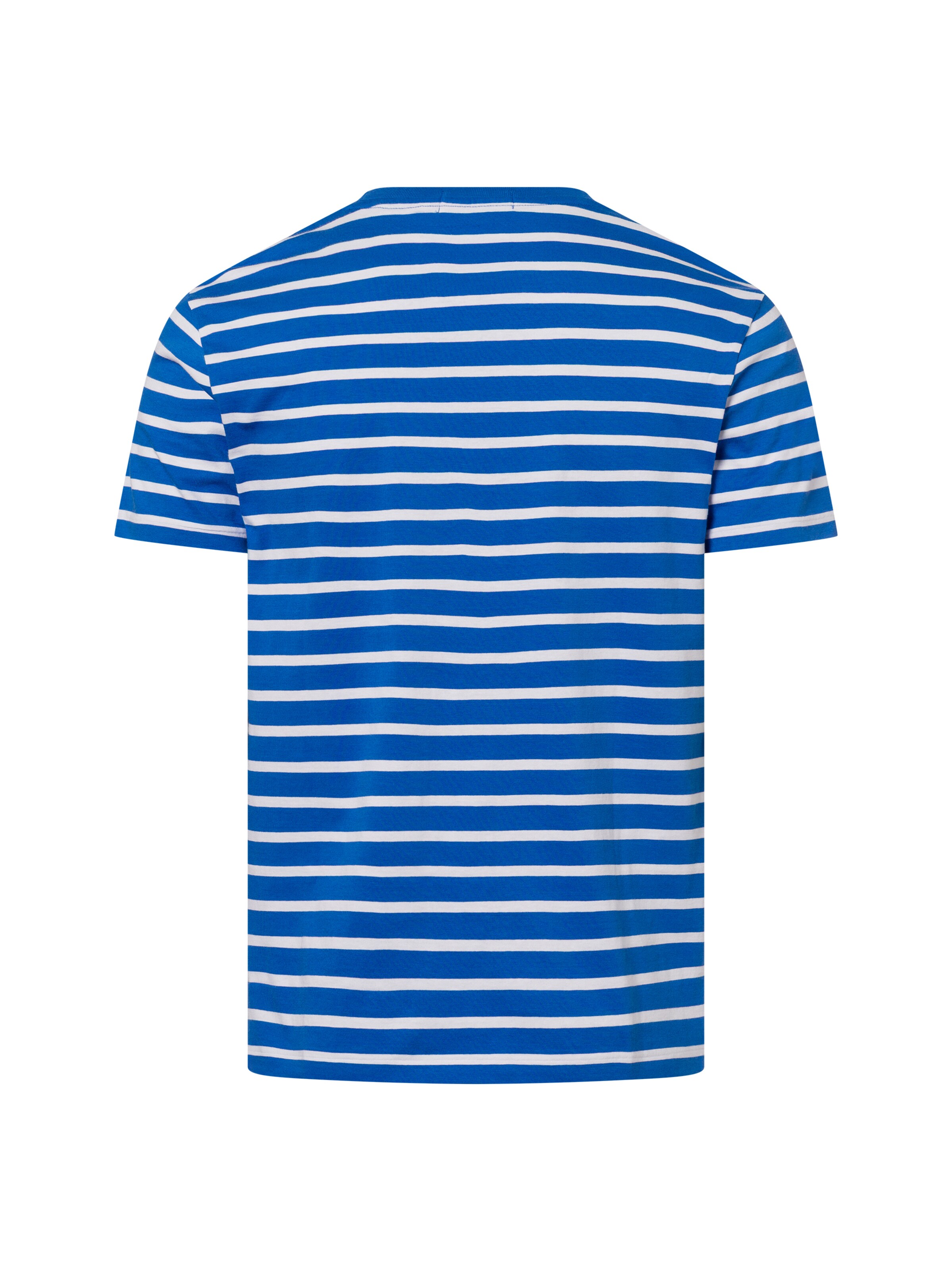 Polo Ralph Lauren Shirt in Blauw