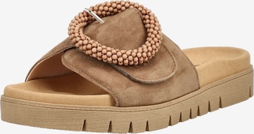 Zoccoletto di GABOR in marrone: frontale