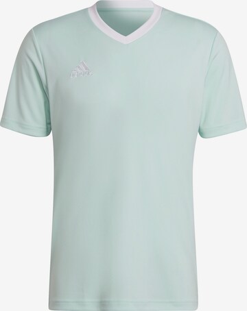 T-Shirt fonctionnel 'Entrada 22' ADIDAS SPORTSWEAR en vert : devant